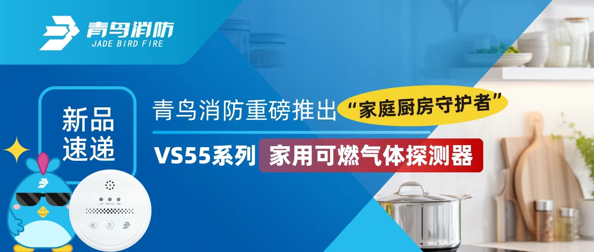 新品速遞 | 青鳥(niǎo)消防重磅推出&ldquo;家庭廚房守護者&rdquo;&mdash;&mdash;VS55系列家用可燃氣體探測器